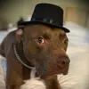 Richard Ings - @richard.ings6 - TikTok