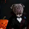 Wreck it Richard - @richards_world_of_chaos - TikTok