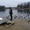 Richard Iñiguez - @richard.iiguez - TikTok