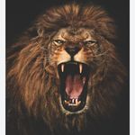 Richard Inman - @providence3933 - Instagram