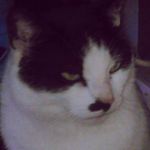 Richard Inman - @richard_inman_2003 - Instagram