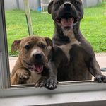 Richard Inman - @richard.inman.58 - Instagram
