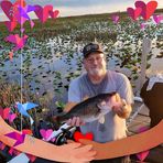 Richard Insley - Facebook