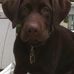 Richard Ippolito - Facebook