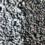 richard irvine - @ecopedagogue - Instagram