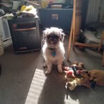 Richard Isaacson - Facebook