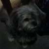 Richard Ison - @richardison255 - TikTok