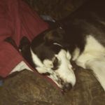 Richard Edward Russell Iwanski - @riwanski3212 - Instagram