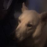 Richard Janssen - @richardjanssen9 - Instagram