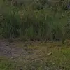 Richard Jauregui - @richard.jauregui - TikTok