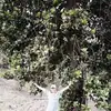 Richard Jauregui - @richardjauregui26 - TikTok