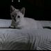 Richard Jauregui Carvajal - Facebook