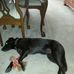 Richard Jeffreys - Facebook
