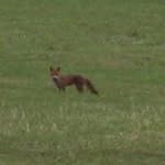 Richard Jeffreys - @jeffreys.richard - Instagram