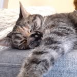 Richard Jørgensen - @richardjorgensen3 - Instagram