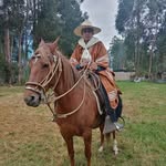 Richard Julca Ch - @richardejulcachuan - Instagram