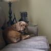 Richard June - @richard.june - TikTok
