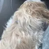 richard.karam - @richard.karam - TikTok