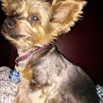 Richard Keck - @richard.keck.75 - Instagram