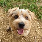 Richard Killen - @richard.killen.399 - Instagram