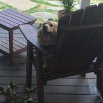 Richard L. Kilpatrick - @dkilpatrick410 - Instagram