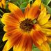 Richard Klima - Facebook
