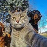 Richard Klima - @richard_klima - Instagram