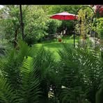 Richard Fraser Knell - Facebook