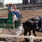 Richard Knipp - Facebook