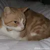 Richard Kohl - @richardkohl - TikTok