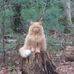 Richard Krasner - Facebook