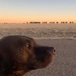 Richard Kuster - @richard_kuster_ - Instagram