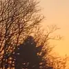 Richard Lafleche - @richard.lafleche - TikTok