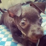 @richard_lamp - Instagram