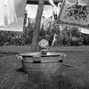Richard Lander - @richardlander1 - TikTok