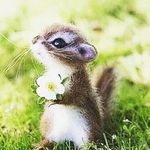 Richard Langner - @langnerrichard1234 - Instagram