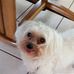 Richard J Langton - Facebook