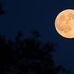 Richard Laskey - Facebook