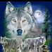 Richard Laviolette - Facebook