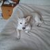 Richard Leaf - Facebook