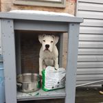 Richard Leaver - @adventures_with_benson - Instagram