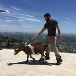 Richard Lebowski - @lebowski_richard - Instagram