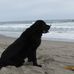 Richard Leibowitz - Facebook