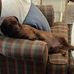 Richard Lening - Facebook
