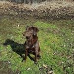 Richard LePage - @rjlepage1 - Instagram