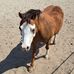 Richard Lacher - Facebook