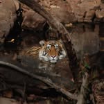 Richard Letcher - @richard_letcher - Instagram