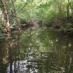 Richard Letheuil - @richardletheuil - Instagram