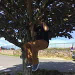 Richard Levenson - @richard.levenson - Instagram