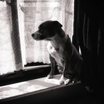 Richard Lewison - @richardlewison - Instagram